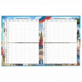 Дневник 1-11 класс 40 л., твердый, BRAUBERG, ламинация, цветная печать, "РОССИЙСКОГО ШКОЛЬНИКА-9", 106861