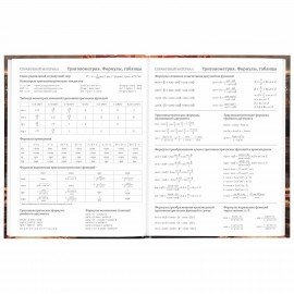 Дневник 5-11 класс 48 л., твердый, BRAUBERG, глянцевая ламинация, с подсказом, "Байк", 106867
