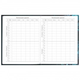 Дневник 5-11 класс 48 л., твердый, BRAUBERG, глянцевая ламинация, с подсказом, "Интернет", 106869