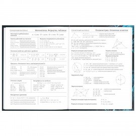 Дневник 5-11 класс 48 л., твердый, BRAUBERG, глянцевая ламинация, с подсказом, "Интернет", 106869