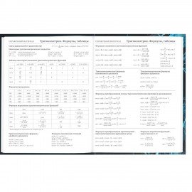 Дневник 5-11 класс 48 л., твердый, BRAUBERG, глянцевая ламинация, с подсказом, "Интернет", 106869