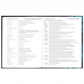 Дневник 5-11 класс 48 л., твердый, BRAUBERG, глянцевая ламинация, с подсказом, "Интернет", 106869