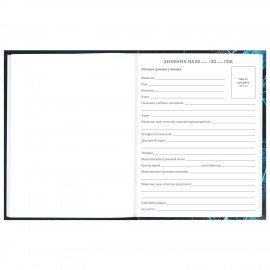 Дневник 5-11 класс 48 л., твердый, BRAUBERG, глянцевая ламинация, с подсказом, "Интернет", 106869