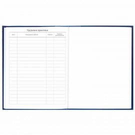 Дневник 5-11 класс 48 л., твердый, BRAUBERG, глянцевая ламинация, с подсказом, "Символика", 106878