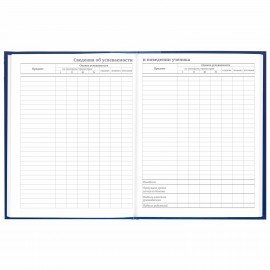 Дневник 5-11 класс 48 л., твердый, BRAUBERG, глянцевая ламинация, с подсказом, "Символика", 106878