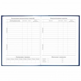 Дневник 5-11 класс 48 л., твердый, BRAUBERG, глянцевая ламинация, с подсказом, "Символика", 106878