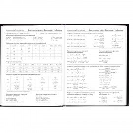 Дневник 5-11 класс 48 л., твердый, BRAUBERG, глянцевая ламинация, с подсказом, "Футбол", 106880