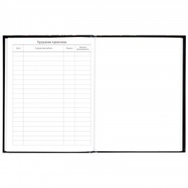 Дневник 5-11 класс 48 л., твердый, BRAUBERG, глянцевая ламинация, с подсказом, "Футбол", 106880