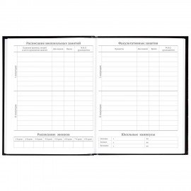 Дневник 5-11 класс 48 л., твердый, BRAUBERG, глянцевая ламинация, с подсказом, "Футбол", 106880