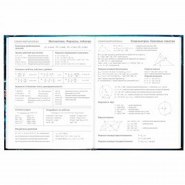 Дневник 5-11 класс 48 л., твердый, BRAUBERG, глянцевая ламинация, с подсказом, "Cyberpunk", 106881