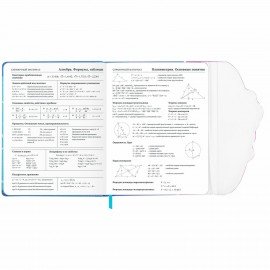 Дневник 1-11 класс 48 л., кожзам (твердая), магнитный клапан, ЮНЛАНДИЯ, "Котики Аниме", 106928