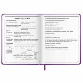 Дневник 1-4 класс 48 л., кожзам (твердая с поролоном), печать, аппликация, ЮНЛАНДИЯ, "Собачка", 106937