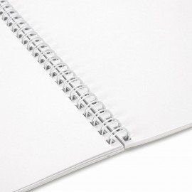 Альбом для рисования А4, 40 л., гребень, обложка картон, BRAUBERG, 195х285 мм, "Пернатые", 107120