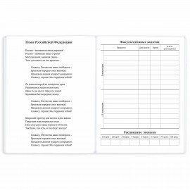 Дневник 1-11 класс 40 л., на скобе, ПИФАГОР, обложка картон, Котик, 107131