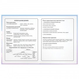 Дневник 1-4 класс 48 л., гибкая обложка, ЮНЛАНДИЯ, выборочный лак, с подсказом, "Девочка с котиком", 107140