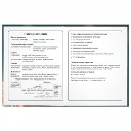 Дневник 1-4 класс 48 л., гибкая обложка, ЮНЛАНДИЯ, выборочный лак, с подсказом, "Медвежонок", 107141