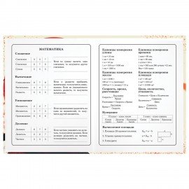 Дневник 1-4 класс 48 л., твердый, ЮНЛАНДИЯ, глянцевая ламинация, с подсказом, "Самурай", 107145
