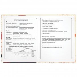 Дневник 1-4 класс 48 л., твердый, ЮНЛАНДИЯ, глянцевая ламинация, с подсказом, "Самурай", 107145