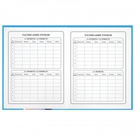 Дневник 1-4 класс 48 л., твердый, ЮНЛАНДИЯ, глянцевая ламинация, с подсказом, "Котик", 107147