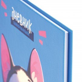 Дневник 1-4 класс 48 л., твердый, ЮНЛАНДИЯ, глянцевая ламинация, с подсказом, "Котик", 107147