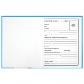 Дневник 1-4 класс 48 л., твердый, ЮНЛАНДИЯ, глянцевая ламинация, с подсказом, "Котик", 107147