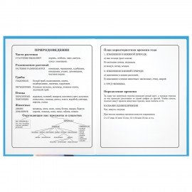 Дневник 1-4 класс 48 л., твердый, ЮНЛАНДИЯ, глянцевая ламинация, с подсказом, "Котик", 107147