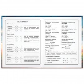 Дневник 1-4 класс 48 л., твердый, ЮНЛАНДИЯ, глянцевая ламинация, с подсказом, "Футбол", 107148