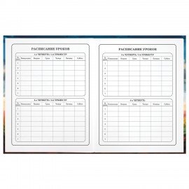 Дневник 1-4 класс 48 л., твердый, ЮНЛАНДИЯ, глянцевая ламинация, с подсказом, "Футбол", 107148