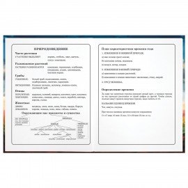 Дневник 1-4 класс 48 л., твердый, ЮНЛАНДИЯ, глянцевая ламинация, с подсказом, "Футбол", 107148