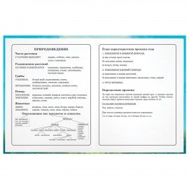 Дневник 1-4 класс 48 л., твердый, ЮНЛАНДИЯ, глянцевая ламинация, с подсказом, "Лисёнок", 107150