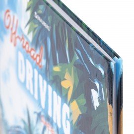 Дневник 1-4 класс 48 л., твердый, BRAUBERG, глянцевая ламинация, с подсказом, "Джип", 107152