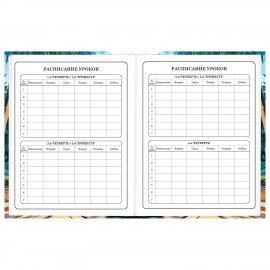 Дневник 1-4 класс 48 л., твердый, BRAUBERG, глянцевая ламинация, с подсказом, "Джип", 107152