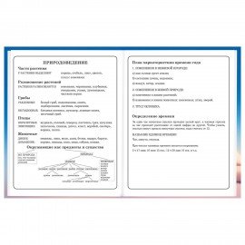 Дневник 1-4 класс 48 л., твердый, BRAUBERG, глянцевая ламинация, с подсказом, Собачка, 107154