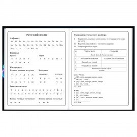 Дневник 1-4 класс 48 л., твердый, BRAUBERG, глянцевая ламинация, с подсказом, Футбол, 107155