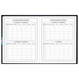 Дневник 1-4 класс 48 л., твердый, BRAUBERG, глянцевая ламинация, с подсказом, Футбол, 107155