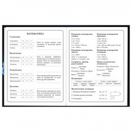 Дневник 1-4 класс 48 л., твердый, BRAUBERG, глянцевая ламинация, с подсказом, Футбол, 107155