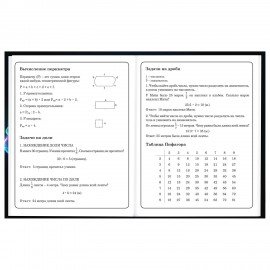 Дневник 1-4 класс 48 л., твердый, BRAUBERG, глянцевая ламинация, с подсказом, Футбол, 107155