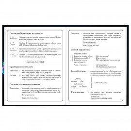 Дневник 1-4 класс 48 л., твердый, BRAUBERG, глянцевая ламинация, с подсказом, Футбол, 107155