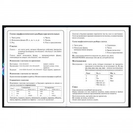 Дневник 1-4 класс 48 л., твердый, BRAUBERG, глянцевая ламинация, с подсказом, Футбол, 107155