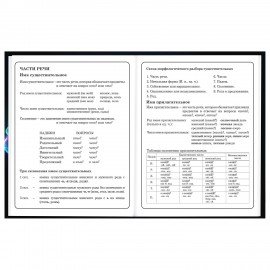 Дневник 1-4 класс 48 л., твердый, BRAUBERG, глянцевая ламинация, с подсказом, Футбол, 107155