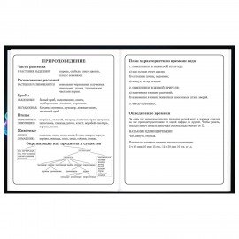 Дневник 1-4 класс 48 л., твердый, BRAUBERG, глянцевая ламинация, с подсказом, Футбол, 107155