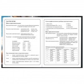Дневник 1-4 класс 48 л., твердый, BRAUBERG, глянцевая ламинация, с подсказом, Котик, 107156
