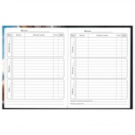 Дневник 1-4 класс 48 л., твердый, BRAUBERG, глянцевая ламинация, с подсказом, Котик, 107156