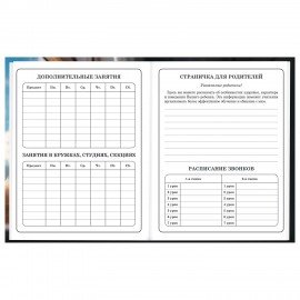 Дневник 1-4 класс 48 л., твердый, BRAUBERG, глянцевая ламинация, с подсказом, Котик, 107156