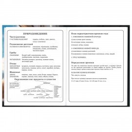 Дневник 1-4 класс 48 л., твердый, BRAUBERG, глянцевая ламинация, с подсказом, Котик, 107156