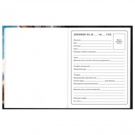 Дневник 1-4 класс 48 л., твердый, BRAUBERG, глянцевая ламинация, с подсказом, Котик, 107156