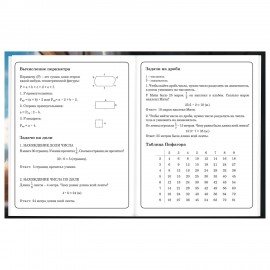 Дневник 1-4 класс 48 л., твердый, BRAUBERG, глянцевая ламинация, с подсказом, Котик, 107156