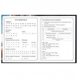 Дневник 1-4 класс 48 л., твердый, BRAUBERG, глянцевая ламинация, с подсказом, Котик, 107156