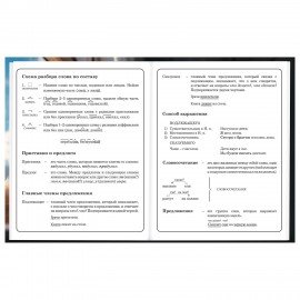 Дневник 1-4 класс 48 л., твердый, BRAUBERG, глянцевая ламинация, с подсказом, Котик, 107156