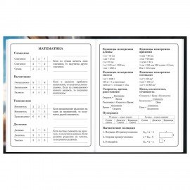 Дневник 1-4 класс 48 л., твердый, BRAUBERG, глянцевая ламинация, с подсказом, Котик, 107156